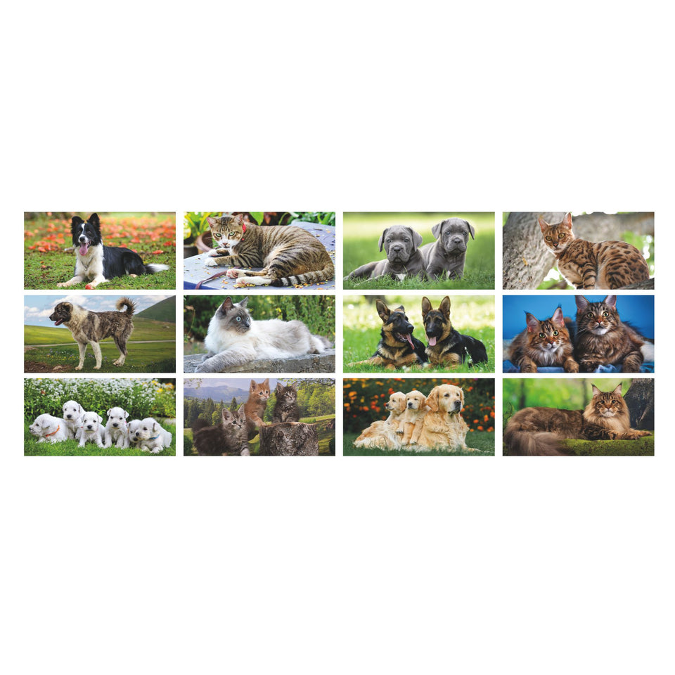 CALENDARIO CANI E GATTI personalizzato con logo - Pubblienne