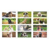 CALENDARIO DA TAVOLO CANI E GATTI personalizzato con logo - Pubblienne